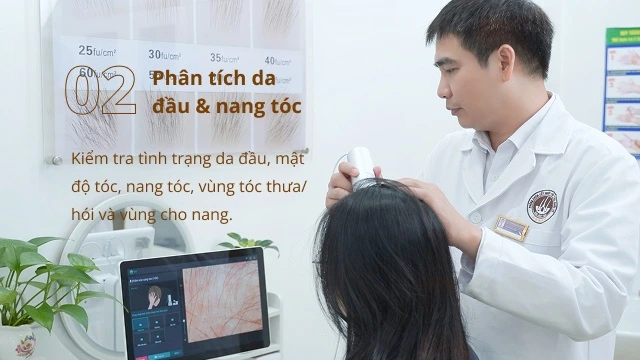 Quy trình