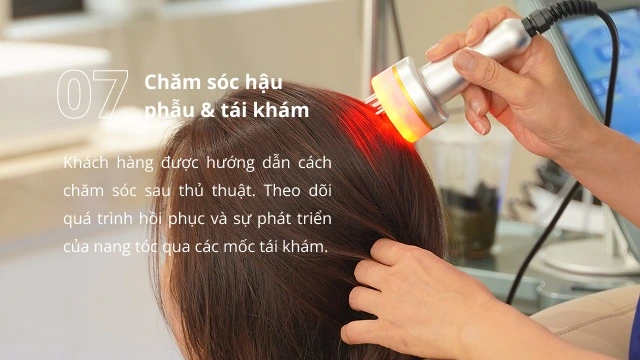 Quy trình